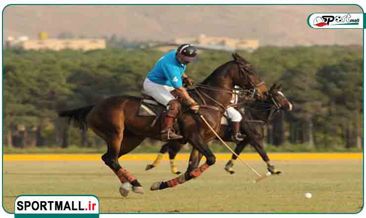  ورزش چوگان چیست